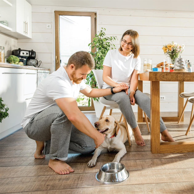 Home Essentials | quality-choice-products